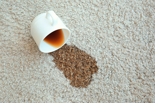 Removing Blood Stains from Your Carpet  Sun Dry Carpet Cleaning & Pest  Control