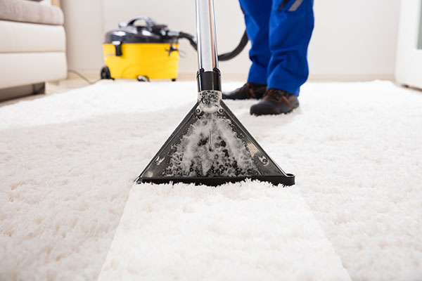Choosing the Right Carpet Cleaners Brisbane