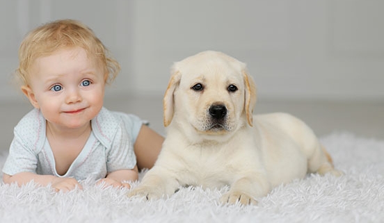 Is Carpet Cleaning Safe for Babies?