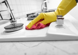 Summer Tips for Pest Control Brisbane Residents Can Use