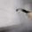 brisbane tile and grout cleaning