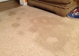 How to Clean Deep Carpet Stains
