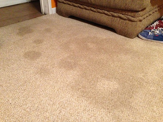 How to Clean Deep Carpet Stains