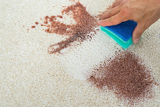 How to Remove Blood Stains from Your Carpet