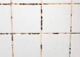 The tiles have mold stains in their grooves