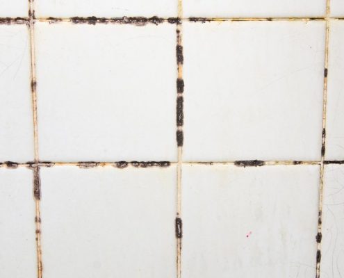The tiles have mold stains in their grooves