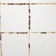 The tiles have mold stains in their grooves