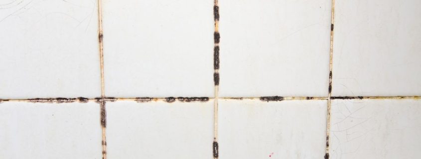 The tiles have mold stains in their grooves