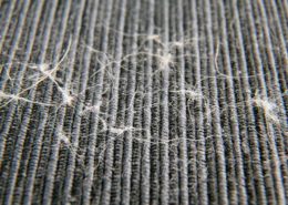 This image displays pet hair in a carpet