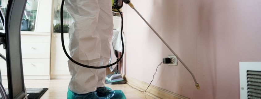 pest control technician